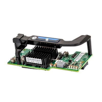 Сетевой Адаптер HP 700065-B21 AGP 20Gb