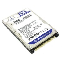 WD2500BEVE Жёсткий диск Western Digital 250GB IDE 2.5 5.4K
